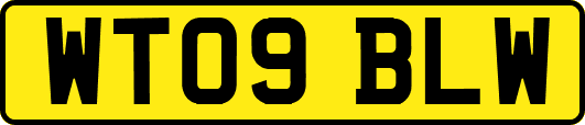 WT09BLW