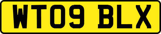WT09BLX