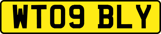 WT09BLY