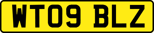 WT09BLZ