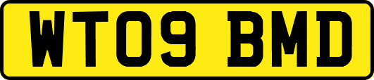 WT09BMD