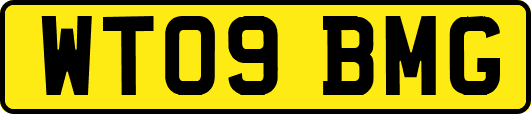 WT09BMG
