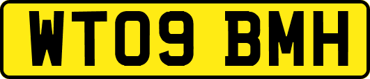 WT09BMH