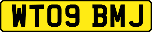 WT09BMJ