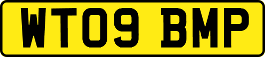 WT09BMP