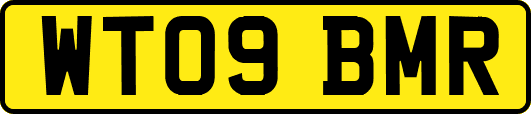 WT09BMR