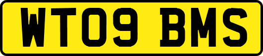 WT09BMS