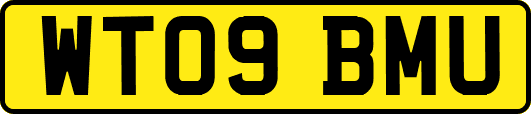 WT09BMU