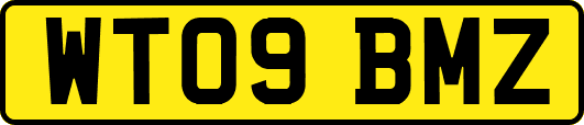 WT09BMZ