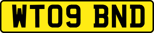 WT09BND