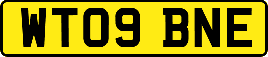 WT09BNE