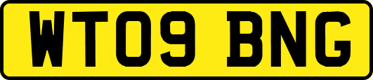 WT09BNG