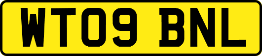 WT09BNL