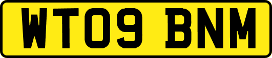 WT09BNM