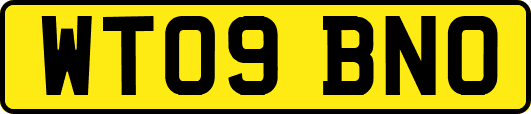 WT09BNO