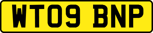 WT09BNP