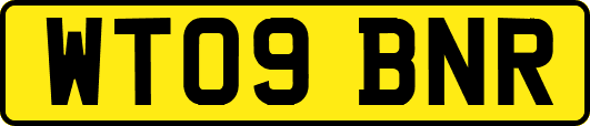 WT09BNR