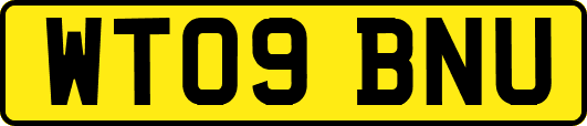 WT09BNU