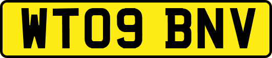 WT09BNV
