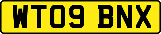 WT09BNX