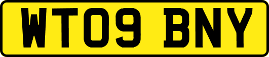 WT09BNY