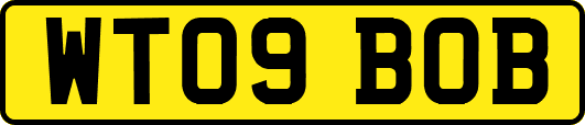 WT09BOB