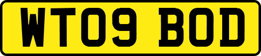 WT09BOD