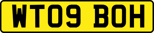 WT09BOH