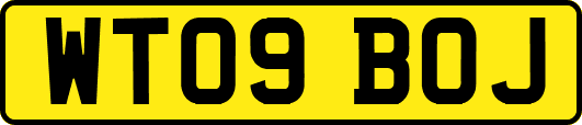 WT09BOJ