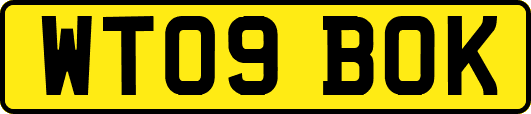 WT09BOK