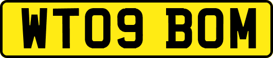 WT09BOM