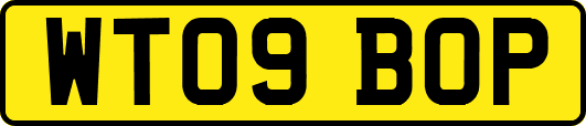 WT09BOP
