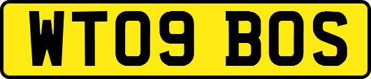 WT09BOS
