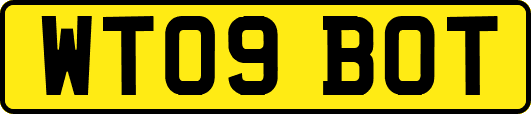 WT09BOT
