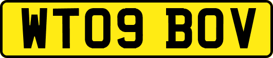 WT09BOV