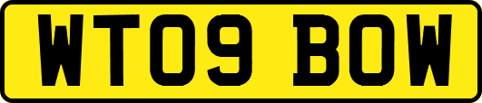 WT09BOW