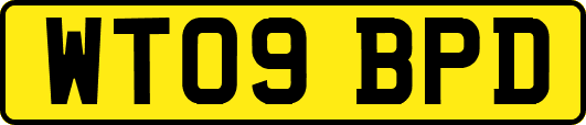 WT09BPD