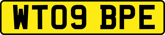 WT09BPE