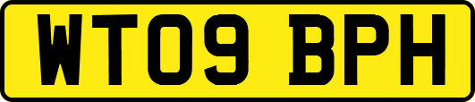 WT09BPH