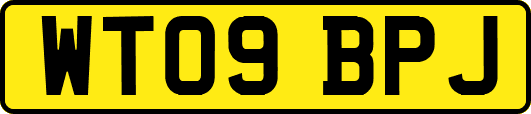 WT09BPJ