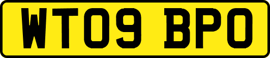 WT09BPO