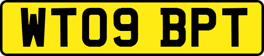 WT09BPT