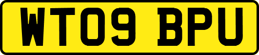 WT09BPU