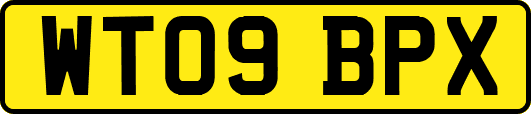 WT09BPX