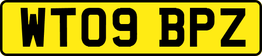 WT09BPZ