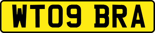 WT09BRA