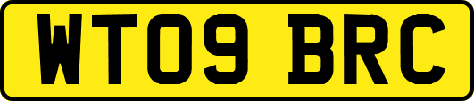 WT09BRC