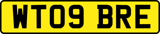 WT09BRE