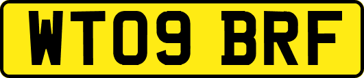 WT09BRF