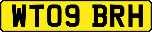 WT09BRH